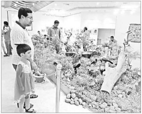 আলোকচিত্রে পাখি মেলা