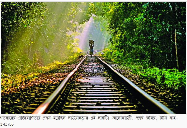 উইকি লাভস আর্থ ২০১৮ জিতে আপনিও যেতে পারেন সুইডেন