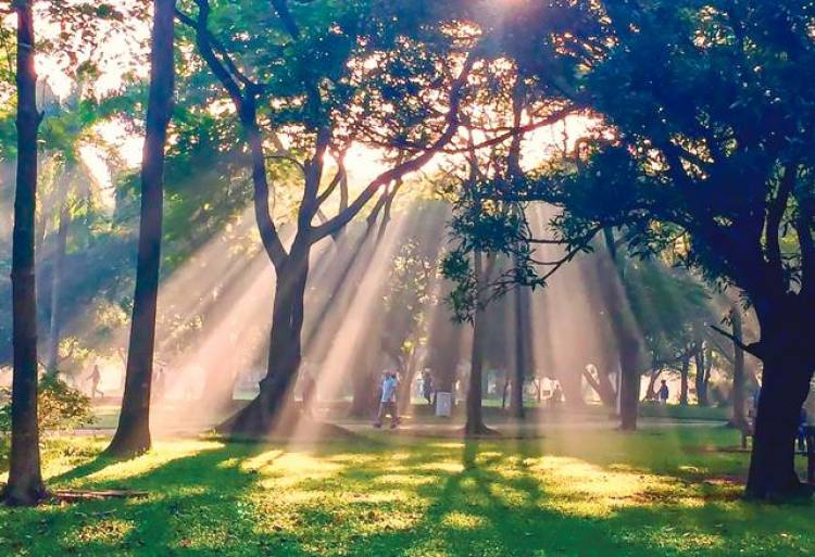 মুঠোফোন দিয়েও নান্দনিক ছবি তোলা যায় !