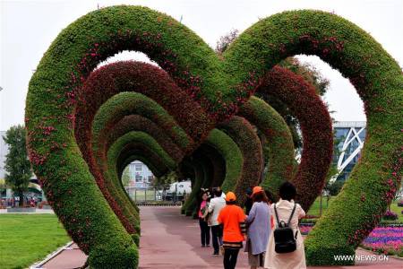 চায়নার ফুলের মেলা