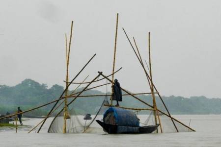  বিবিসি বাংলায় ছবিতে গ্রাম বাংলার খালে-বিলে মাছ ধরার মুহূর্ত !